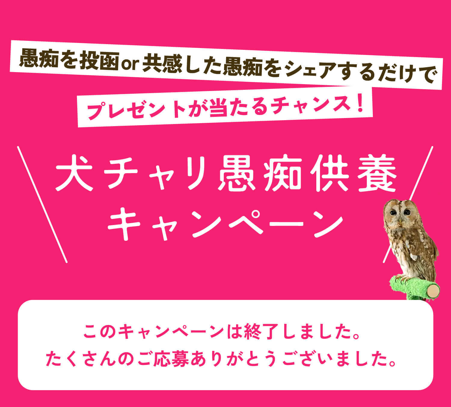 犬チャリ愚痴供養キャンペーン